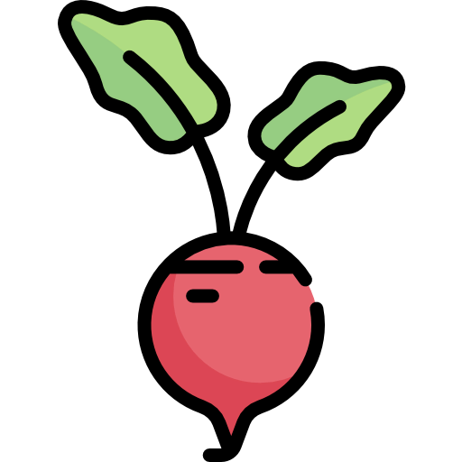 Beet icon