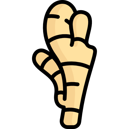 Ginger icon