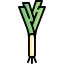 Leek Ikona 64x64