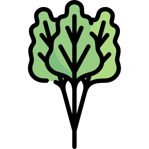 Rhubarb icon