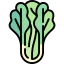 Lettuce Ikona 64x64