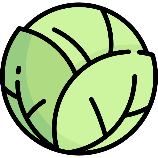 Cabbage icon