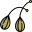 Caper ícono 64x64