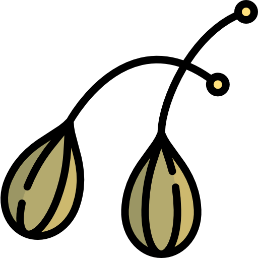 Caper icon