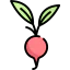 Radish ícono 64x64