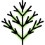 Dill ícono 64x64