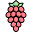 Grapes ícono 64x64