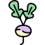 Radish ícono 64x64