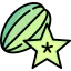 Carambola ícono 64x64