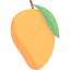 Mango Ikona 64x64