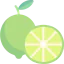 Lime Ikona 64x64