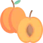 Apricot Ikona 64x64