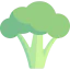 Broccoli Ikona 64x64
