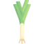 Leek Ikona 64x64