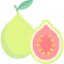 Guava Ikona 64x64