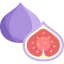 Fig Ikona 64x64