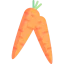 Carrot Ikona 64x64