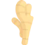 Ginger Ikona 64x64