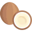 Coconut Ikona 64x64