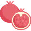 Pomegranate Ikona 64x64