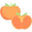 Persimmon Ikona 64x64