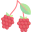 Raspberry ícono 64x64