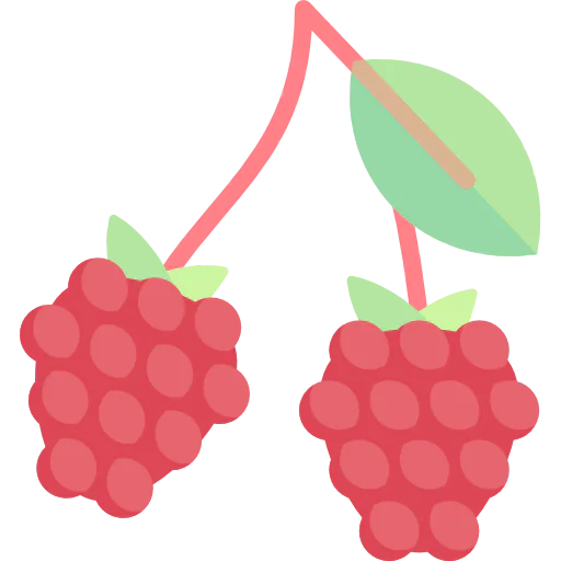 Raspberry Ikona