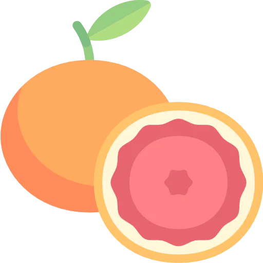 Grapefruit icon