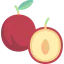 Plum Ikona 64x64
