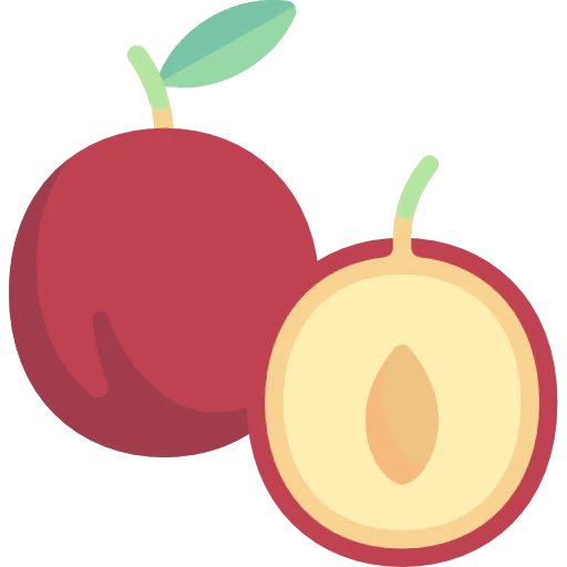 Plum 상
