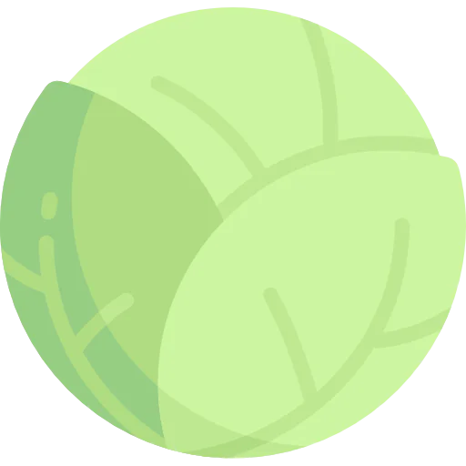 Cabbage icon