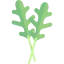 Arugula Ikona 64x64