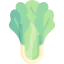 Lettuce Ikona 64x64