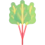 Rhubarb ícono 64x64