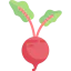 Beet ícono 64x64