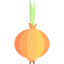 Garlic ícono 64x64