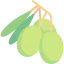 Olives ícono 64x64