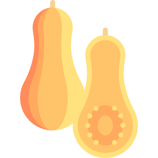 Squash icon