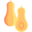 Squash ícono 64x64