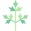 Parsley ícono 64x64