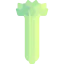 Celery ícono 64x64