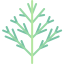 Dill ícono 64x64