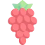 Grapes ícono 64x64