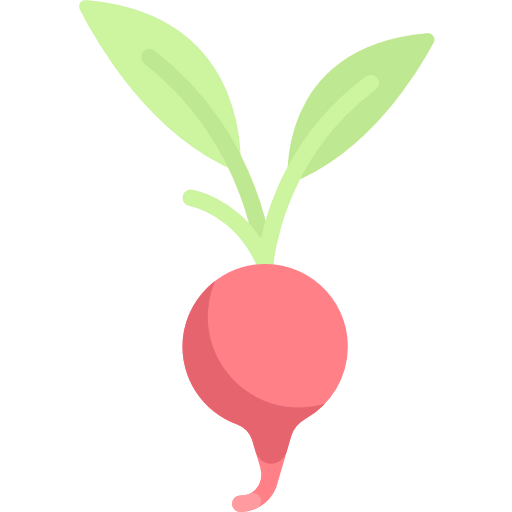 Radish ícone