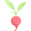 Radish ícono 64x64