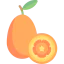 Kumquat ícono 64x64