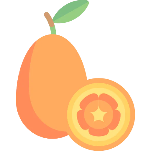 Kumquat 图标