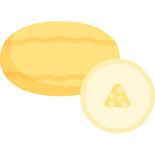 Melon icon