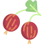 Gooseberry ícono 64x64