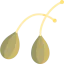 Caper ícono 64x64